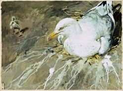 Jamie Wyeth print, Run, baby, gull, seagull, nesting